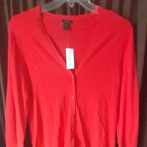Ann Taylor